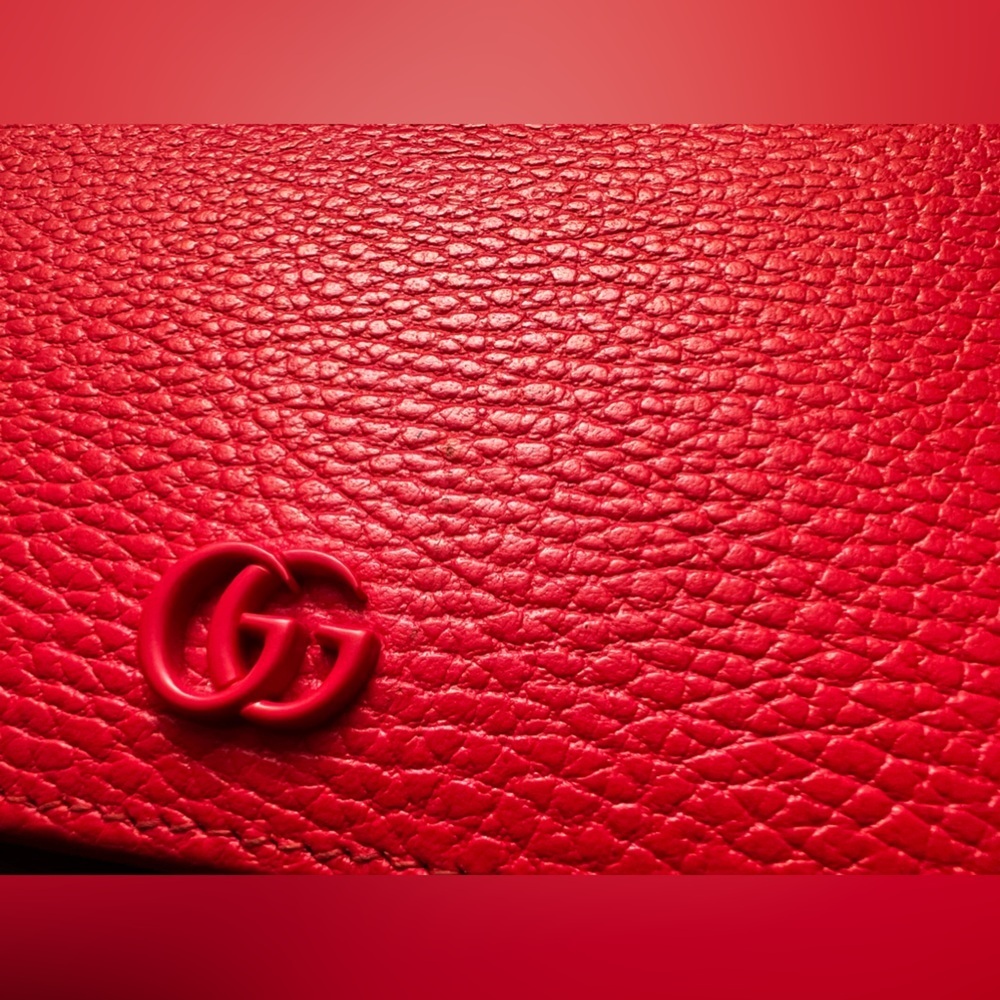 Gucci bag extra pics